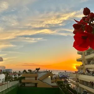  Apartment In Ocean Park, Costa Adeje, Tenerife
